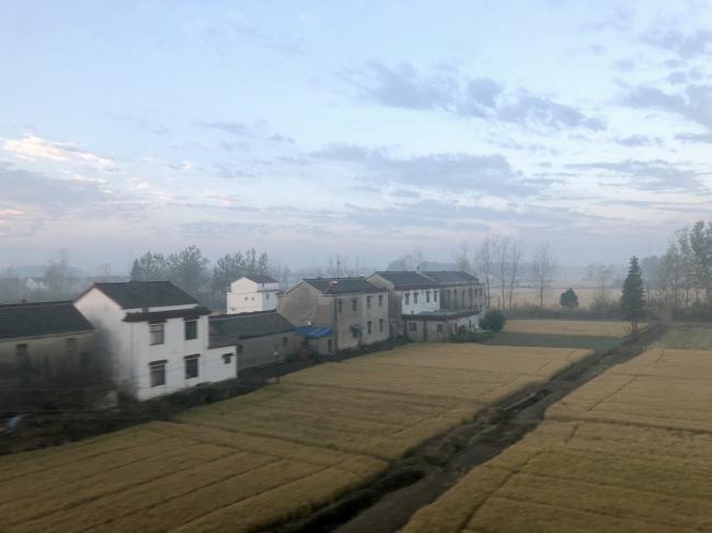 BIM建筑|水乡韵味，一看无际的平原上蜂拥闪烁的“星星”：江苏省北沙幼儿园 / Crossboundaries