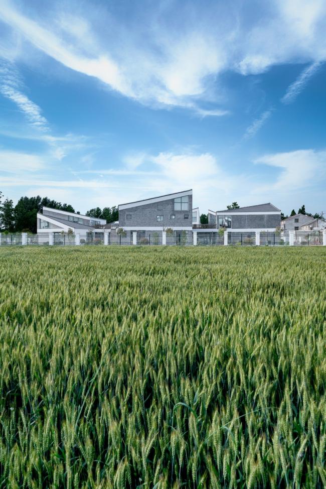 BIM建筑|水乡韵味，一看无际的平原上蜂拥闪烁的“星星”：江苏省北沙幼儿园 / Crossboundaries