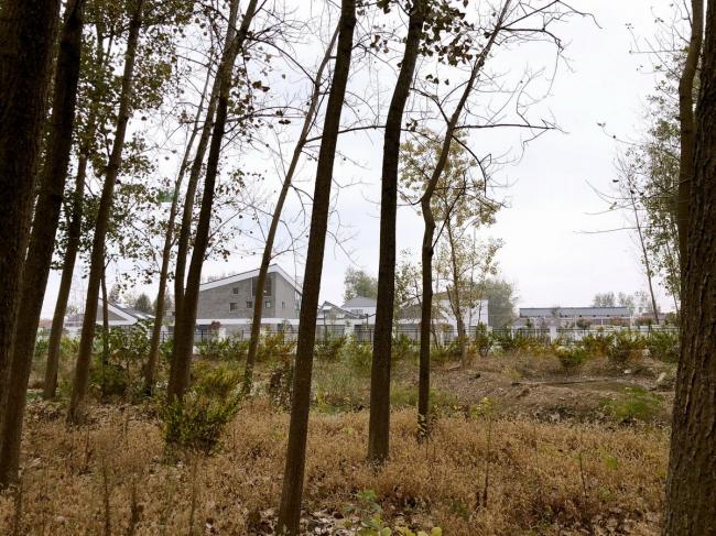 BIM建筑|水乡韵味，一看无际的平原上蜂拥闪烁的“星星”：江苏省北沙幼儿园 / Crossboundaries