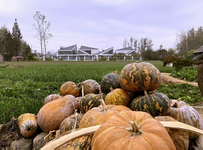 BIM建筑|水乡韵味，一看无际的平原上蜂拥闪烁的“星星”：江苏省北沙幼儿园 / Crossboundaries