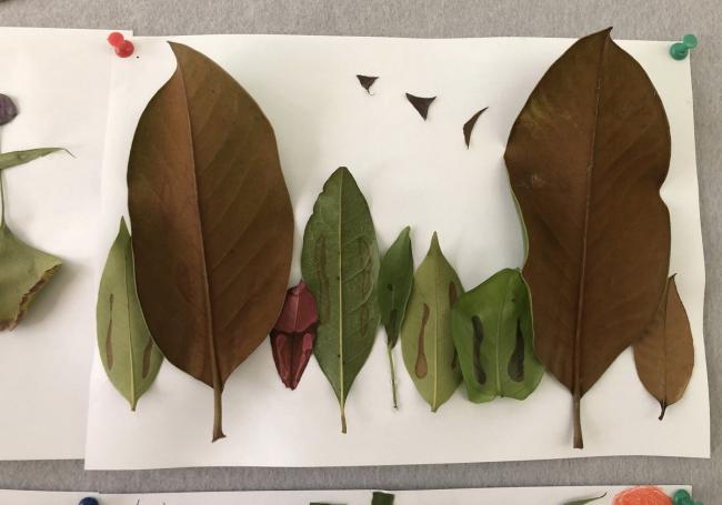 BIM建筑|水乡韵味，一看无际的平原上蜂拥闪烁的“星星”：江苏省北沙幼儿园 / Crossboundaries