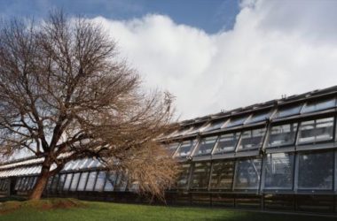 BIM建筑|Simonne-Mathieu 网球场，以水晶宫为灵感的温室球场-BIM建筑网