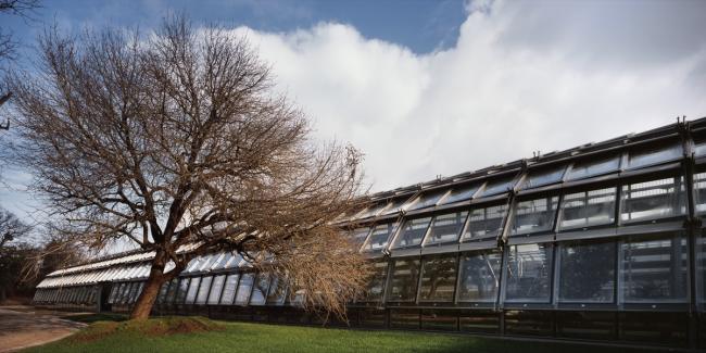 BIM建筑|Simonne-Mathieu 网球场，以水晶宫为灵感的温室球场