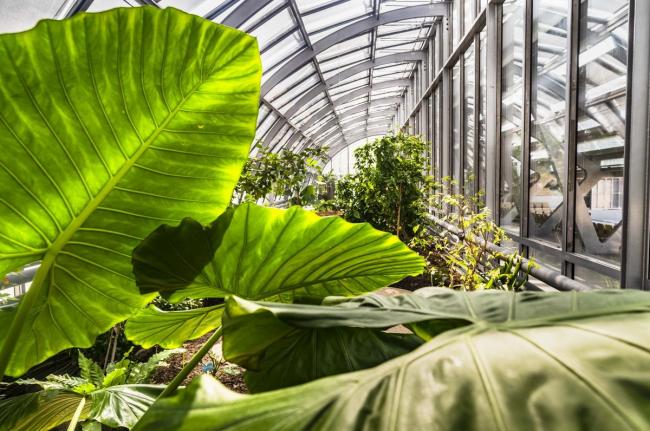 BIM建筑|Simonne-Mathieu 网球场，以水晶宫为灵感的温室球场