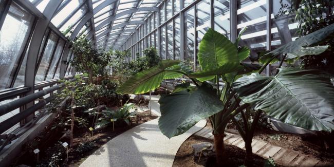 BIM建筑|Simonne-Mathieu 网球场，以水晶宫为灵感的温室球场