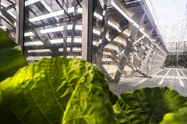 BIM建筑|Simonne-Mathieu 网球场，以水晶宫为灵感的温室球场