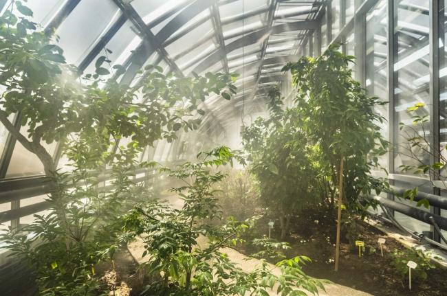 BIM建筑|Simonne-Mathieu 网球场，以水晶宫为灵感的温室球场