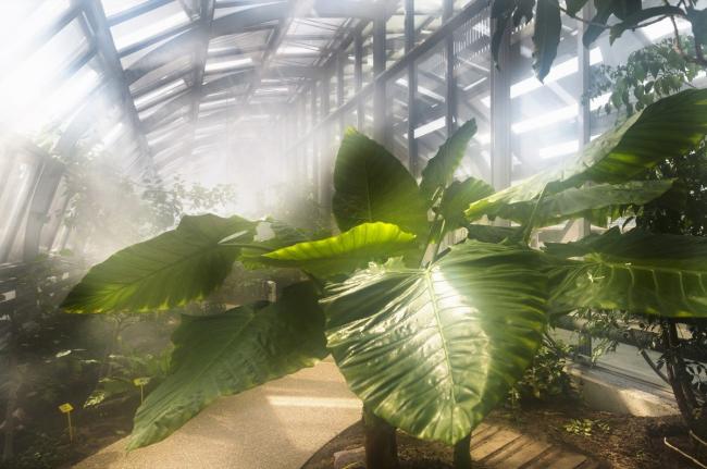 BIM建筑|Simonne-Mathieu 网球场，以水晶宫为灵感的温室球场