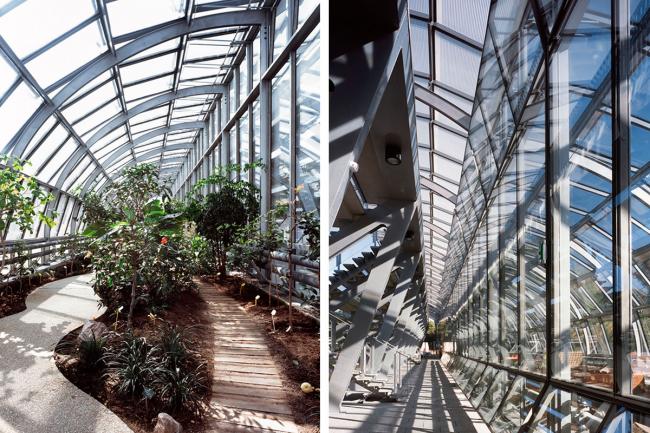 BIM建筑|Simonne-Mathieu 网球场，以水晶宫为灵感的温室球场