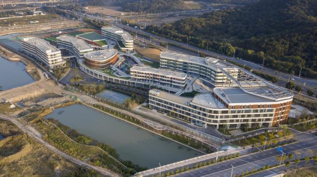 BIM建筑|西塞山前的“白鹭”：上海交年夜教导团体（湖州）帕丁顿双语黉舍 / 思序设计