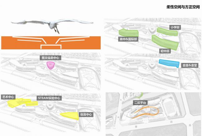 BIM建筑|西塞山前的“白鹭”：上海交年夜教导团体（湖州）帕丁顿双语黉舍 / 思序设计