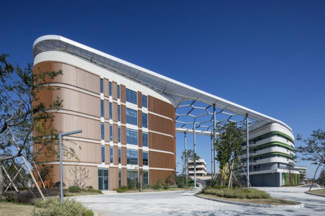 BIM建筑|西塞山前的“白鹭”：上海交年夜教导团体（湖州）帕丁顿双语黉舍 / 思序设计