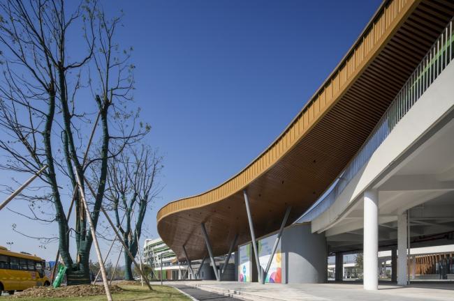 BIM建筑|西塞山前的“白鹭”：上海交年夜教导团体（湖州）帕丁顿双语黉舍 / 思序设计