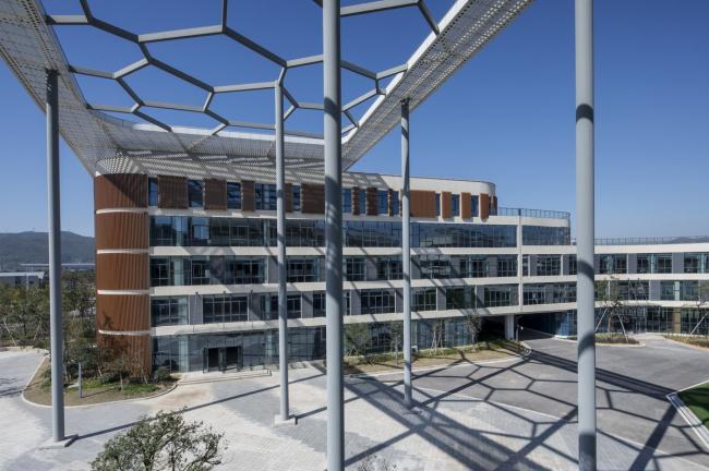 BIM建筑|西塞山前的“白鹭”：上海交年夜教导团体（湖州）帕丁顿双语黉舍 / 思序设计