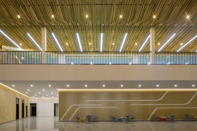 BIM建筑|西塞山前的“白鹭”：上海交年夜教导团体（湖州）帕丁顿双语黉舍 / 思序设计