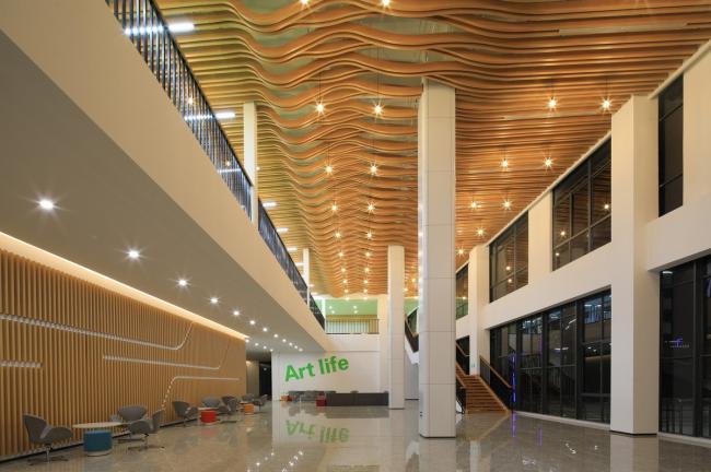 BIM建筑|西塞山前的“白鹭”：上海交年夜教导团体（湖州）帕丁顿双语黉舍 / 思序设计