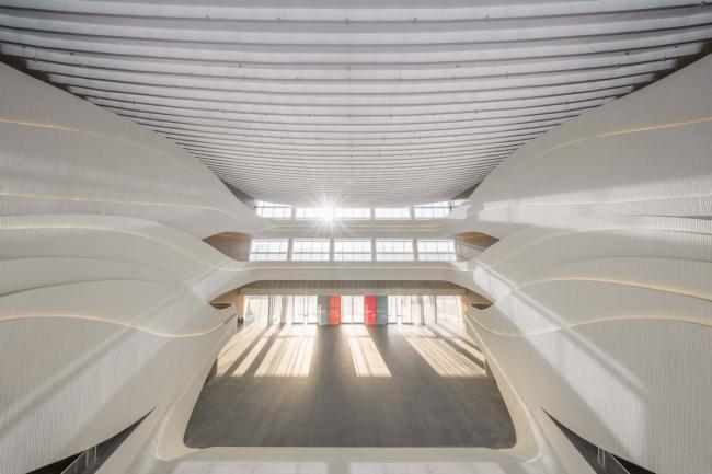 BIM建筑|如佳丽鱼般曼妙，丝绸之路文化交换中间西厅 / WAY Studio