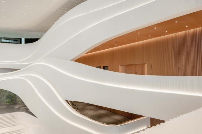 BIM建筑|如佳丽鱼般曼妙，丝绸之路文化交换中间西厅 / WAY Studio