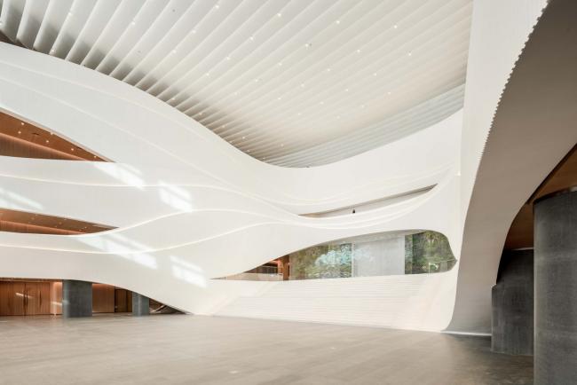 BIM建筑|如佳丽鱼般曼妙，丝绸之路文化交换中间西厅 / WAY Studio