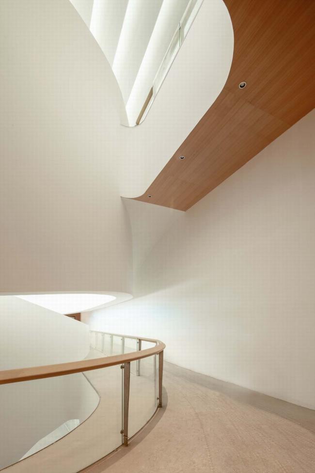 BIM建筑|如佳丽鱼般曼妙，丝绸之路文化交换中间西厅 / WAY Studio