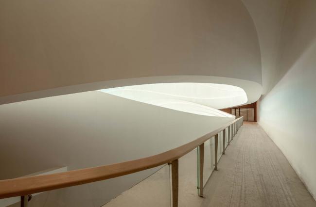 BIM建筑|如佳丽鱼般曼妙，丝绸之路文化交换中间西厅 / WAY Studio