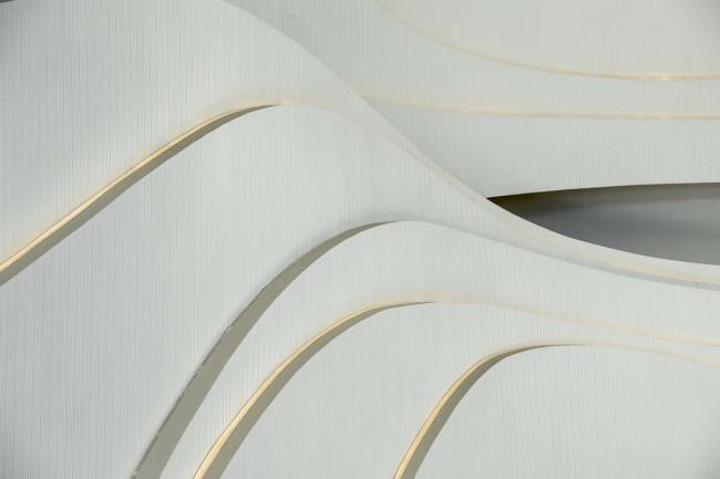 BIM建筑|如佳丽鱼般曼妙，丝绸之路文化交换中间西厅 / WAY Studio