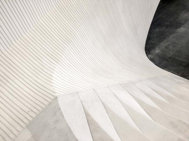 BIM建筑|如佳丽鱼般曼妙，丝绸之路文化交换中间西厅 / WAY Studio