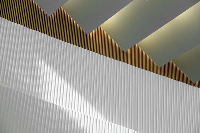 BIM建筑|如佳丽鱼般曼妙，丝绸之路文化交换中间西厅 / WAY Studio