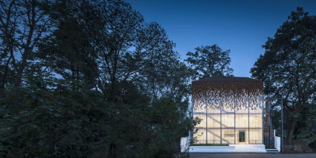 BIM建筑|如鱼群跃出海面，日光下闪闪发光的鱼鳞：清迈微型酒店