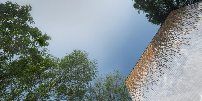 BIM建筑|如鱼群跃出海面，日光下闪闪发光的鱼鳞：清迈微型酒店