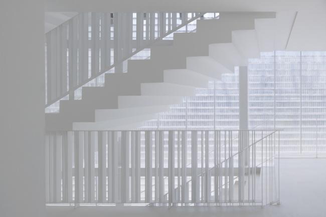 BIM建筑|如鱼群跃出海面，日光下闪闪发光的鱼鳞：清迈微型酒店