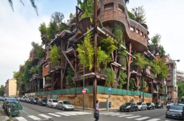 BIM建筑|仿佛穿越进魔法世界——葱茏的丛林“魔法”屋-BIM建筑网