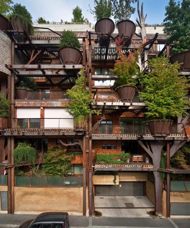 BIM建筑|仿佛穿越进魔法世界——葱茏的丛林“魔法”屋