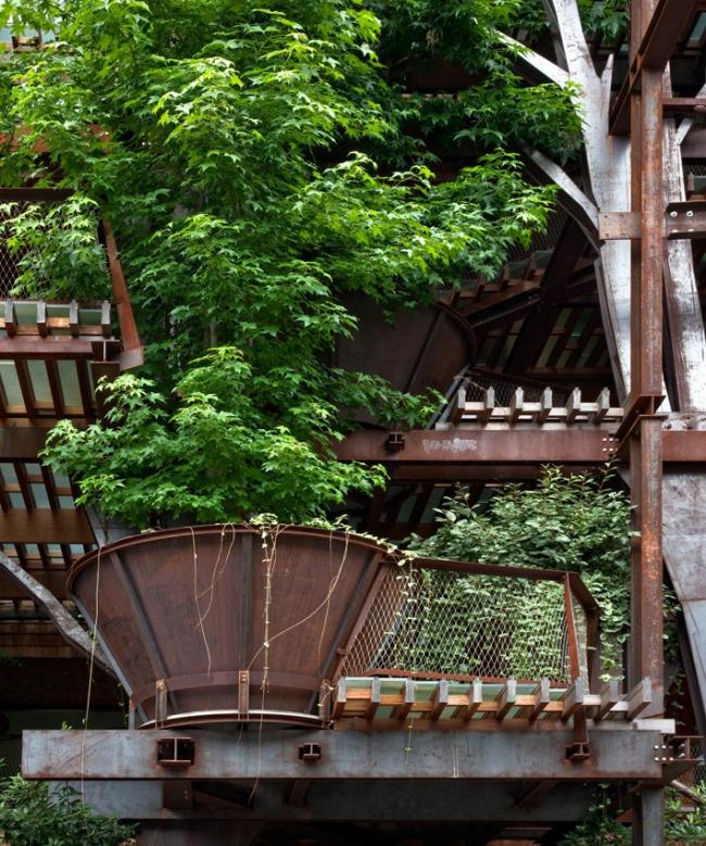 BIM建筑|仿佛穿越进魔法世界——葱茏的丛林“魔法”屋