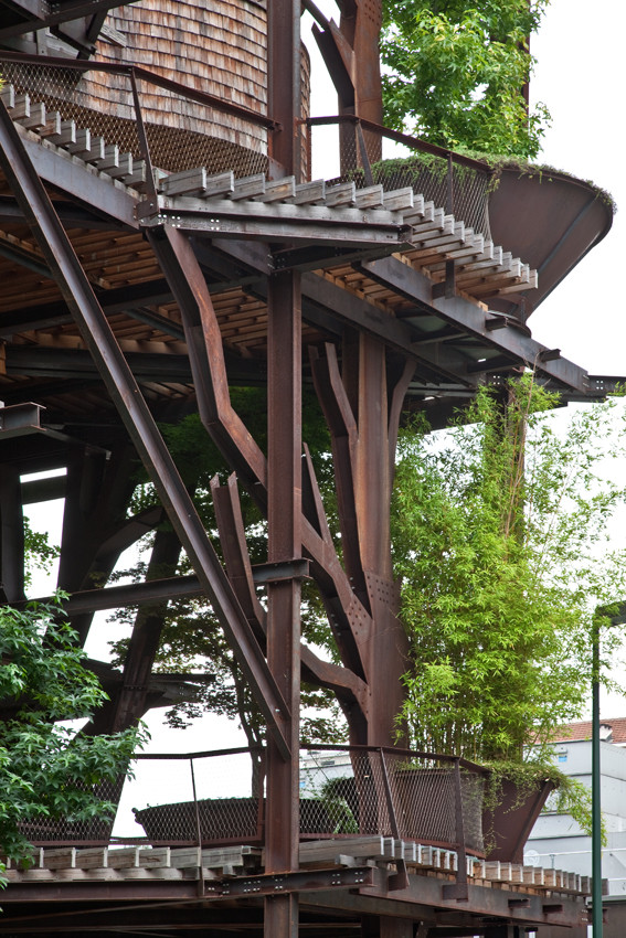 BIM建筑|仿佛穿越进魔法世界——葱茏的丛林“魔法”屋