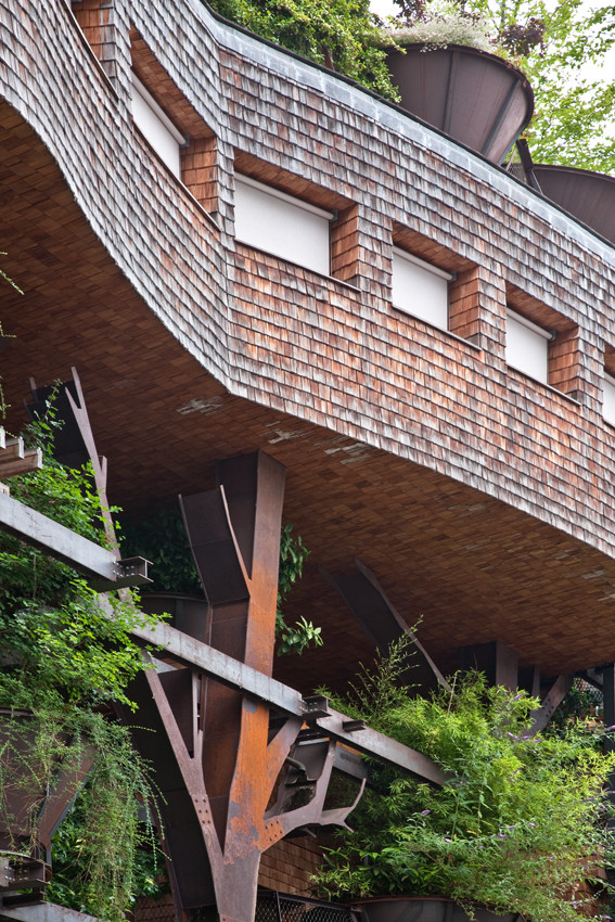 BIM建筑|仿佛穿越进魔法世界——葱茏的丛林“魔法”屋