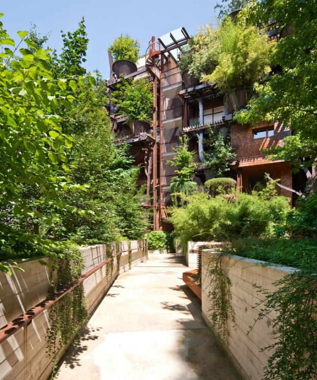 BIM建筑|仿佛穿越进魔法世界——葱茏的丛林“魔法”屋