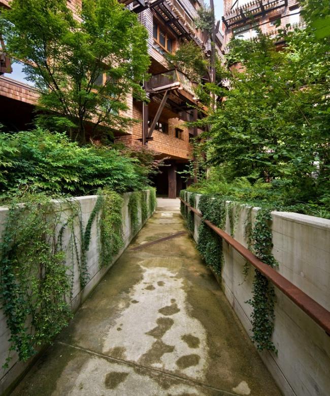 BIM建筑|仿佛穿越进魔法世界——葱茏的丛林“魔法”屋