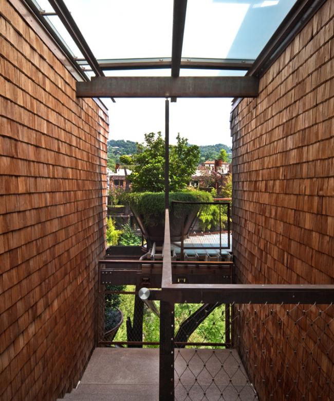 BIM建筑|仿佛穿越进魔法世界——葱茏的丛林“魔法”屋