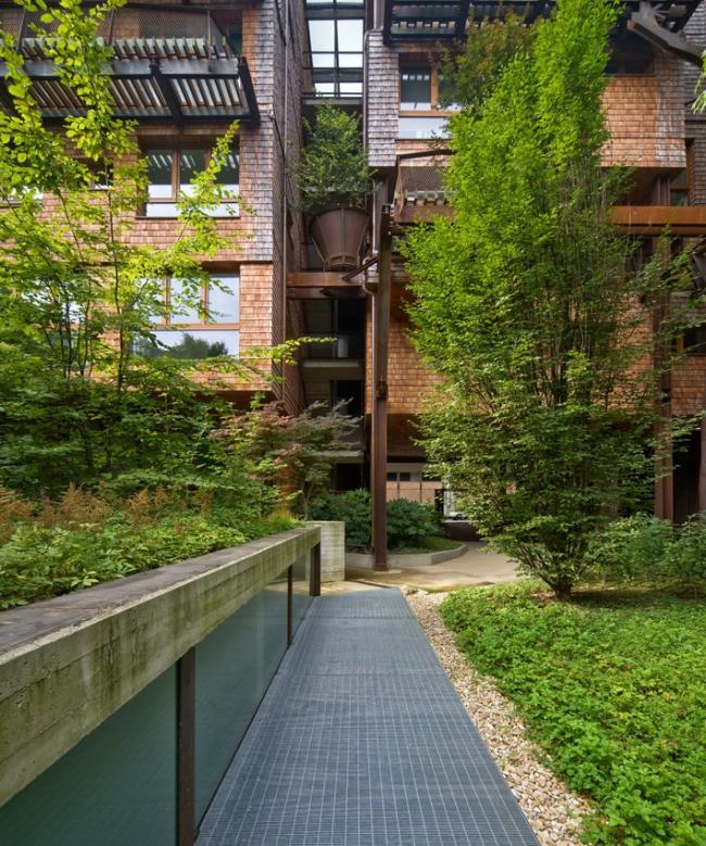 BIM建筑|仿佛穿越进魔法世界——葱茏的丛林“魔法”屋