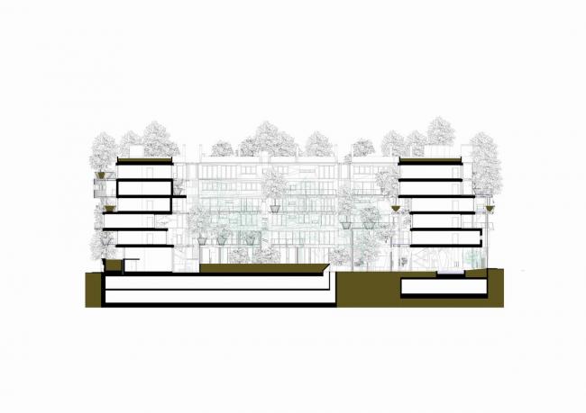 BIM建筑|仿佛穿越进魔法世界——葱茏的丛林“魔法”屋