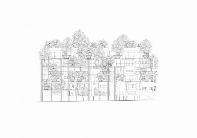 BIM建筑|仿佛穿越进魔法世界——葱茏的丛林“魔法”屋