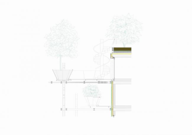 BIM建筑|仿佛穿越进魔法世界——葱茏的丛林“魔法”屋