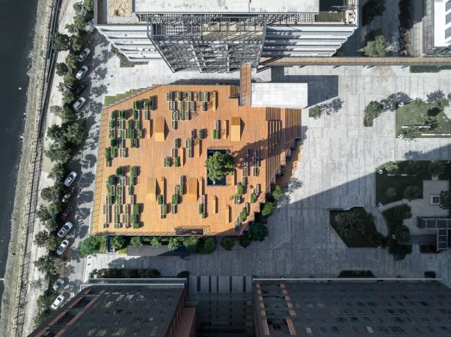 BIM建筑|城市之中的一抹抹绿意：莳植平台和体验馆 / 墨照建筑设计事务所