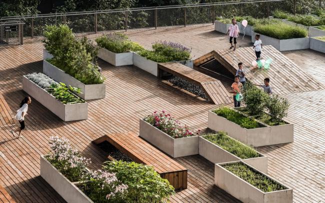 BIM建筑|城市之中的一抹抹绿意：莳植平台和体验馆 / 墨照建筑设计事务所