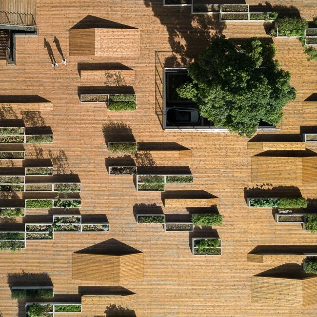 BIM建筑|城市之中的一抹抹绿意：莳植平台和体验馆 / 墨照建筑设计事务所