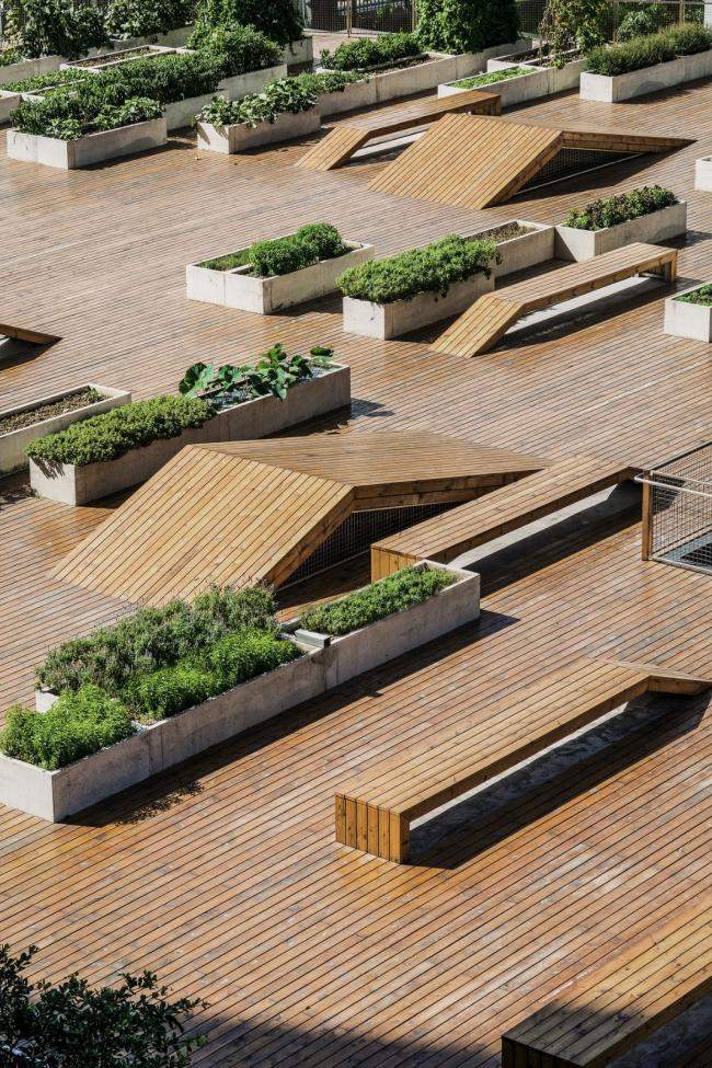 BIM建筑|城市之中的一抹抹绿意：莳植平台和体验馆 / 墨照建筑设计事务所