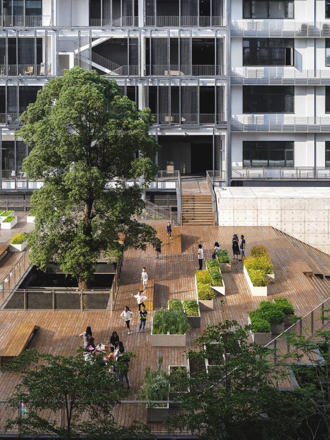 BIM建筑|城市之中的一抹抹绿意：莳植平台和体验馆 / 墨照建筑设计事务所