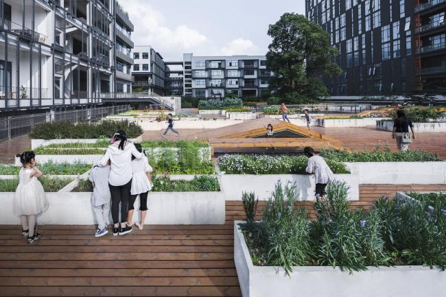 BIM建筑|城市之中的一抹抹绿意：莳植平台和体验馆 / 墨照建筑设计事务所