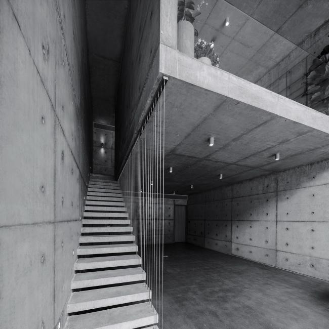 BIM建筑|城市之中的一抹抹绿意：莳植平台和体验馆 / 墨照建筑设计事务所